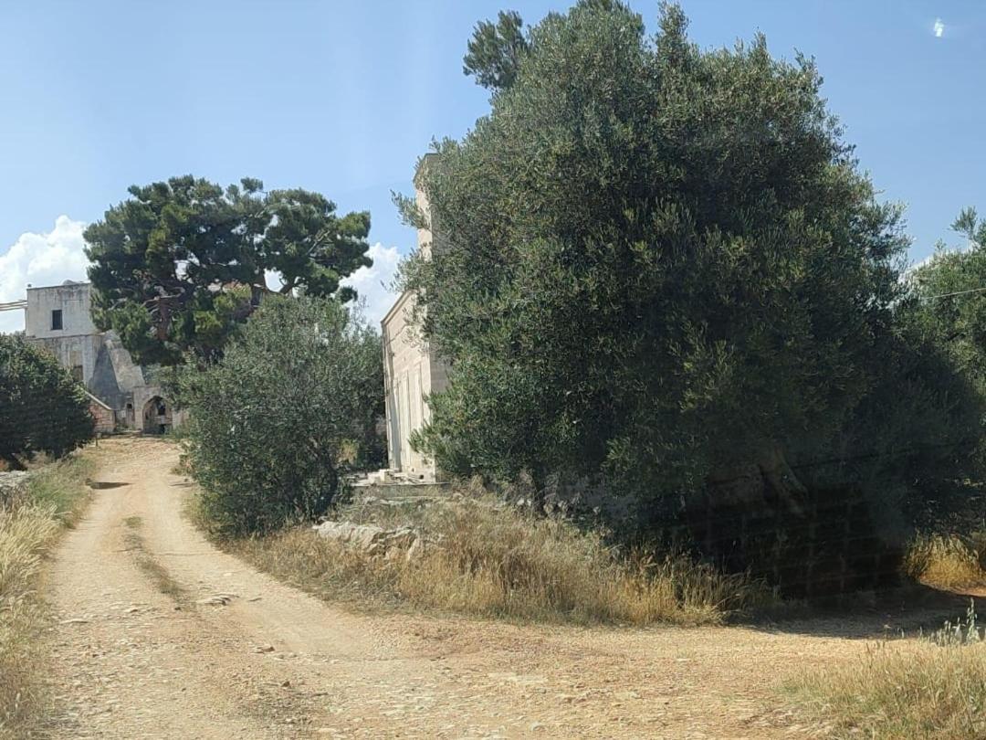 La Guendalina Masseria E Casa Particular Bed & Breakfast Monopoli Ngoại thất bức ảnh
